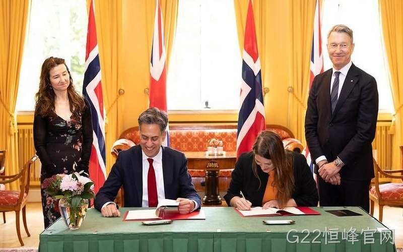 G22恒峰官网面向光伏储能的SiC功率模块完成型式试验 转换效率再获提升