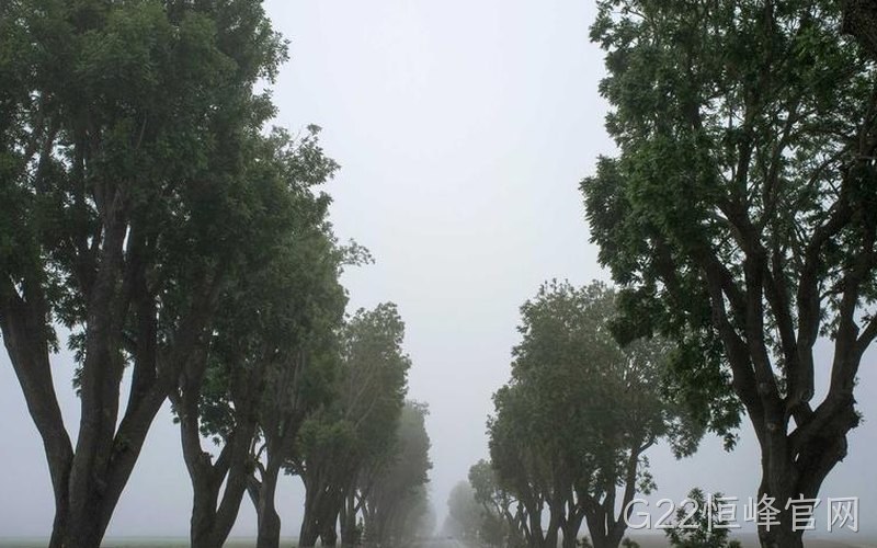 氮化镓切入变频家电与轻型电驱 G22恒峰官网GaN方案助压缩机与风机静音节能